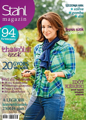 Stahl Magazin 2012 ősz