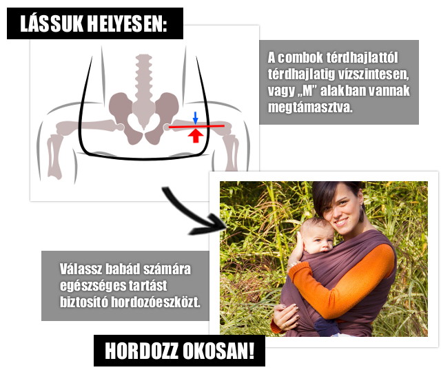 Szűk terpeszű hordozók hatása #2